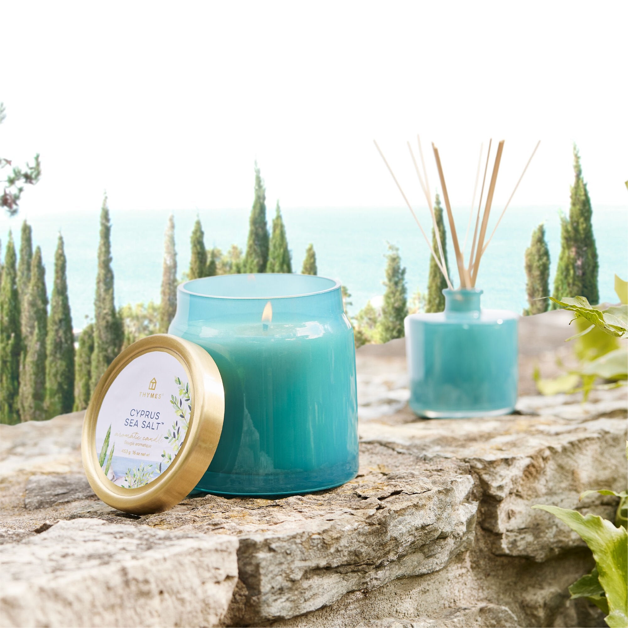 4-thymes-cyprus-sea-salt-petite-reed-diffuser.jpg