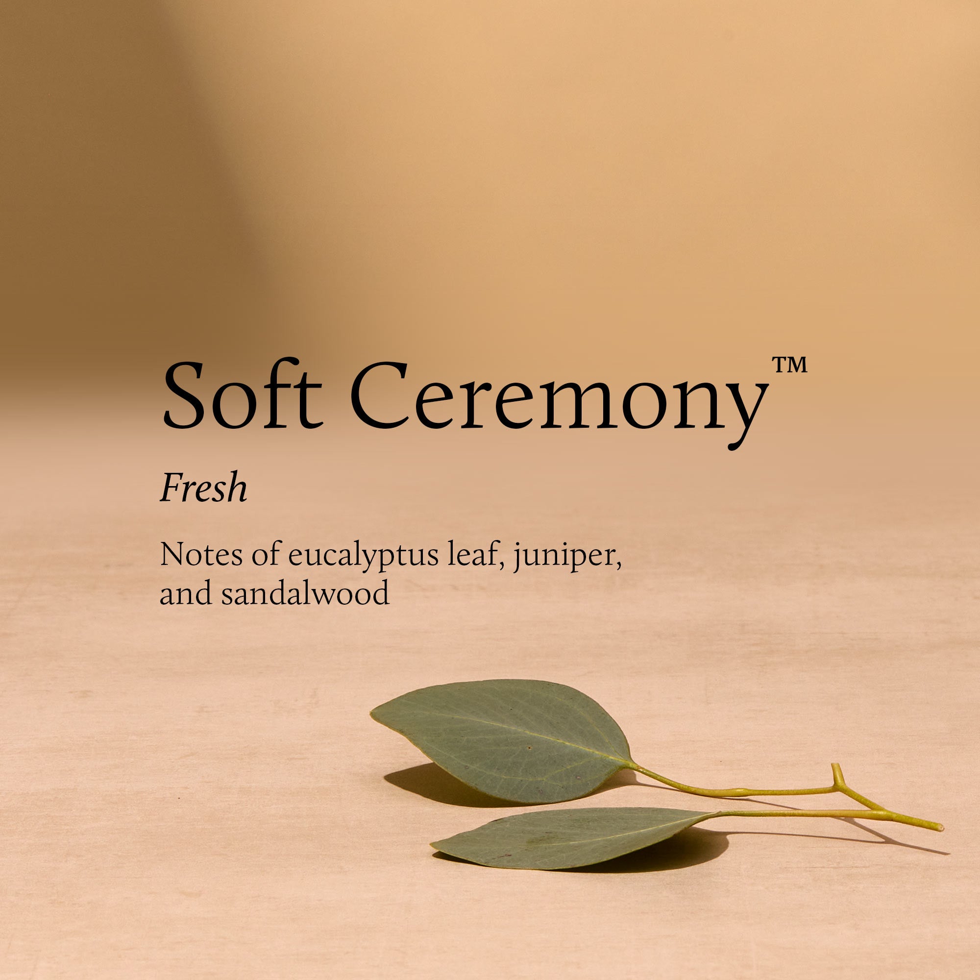 Fragrance-Stack-soft-ceremony_4e93862a-2d5e-4984-891a-d419e2ddd042.jpg