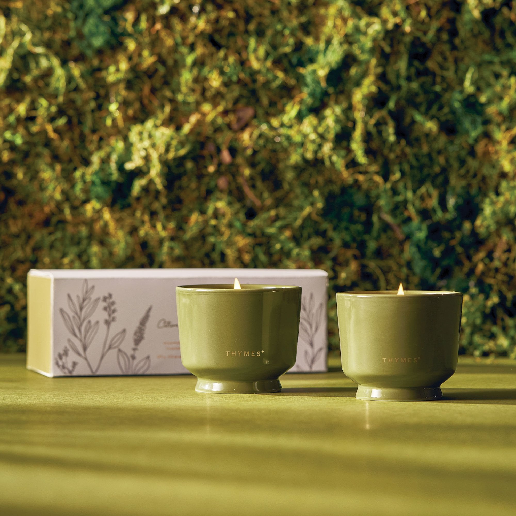th-ss24-citronella-grove-candle-set-1.jpg